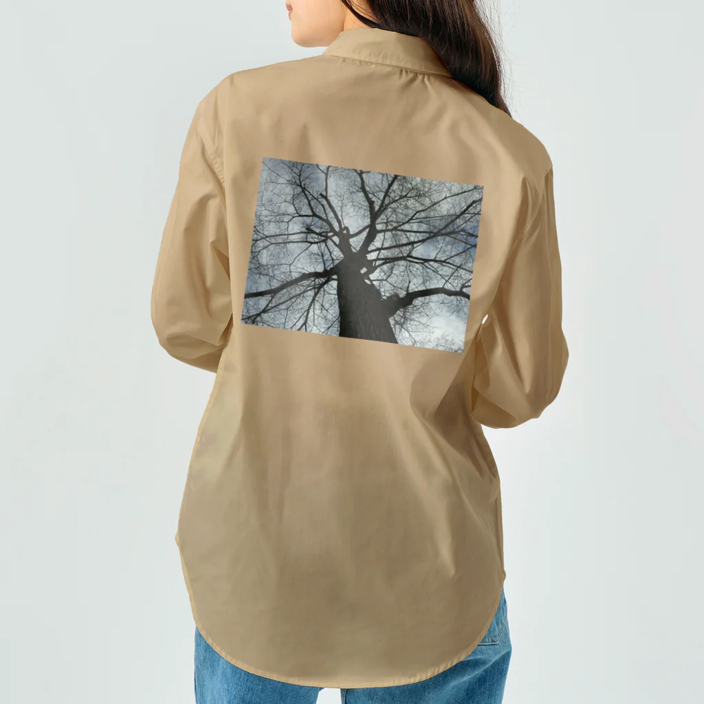 空屋　sorayakusakaの201805051602001　春の樹木 Work Shirt