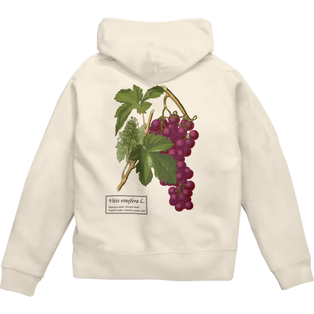 たくみのグッズショップのヨーロッパブドウ（Vitis vinifera） Zip Hoodie