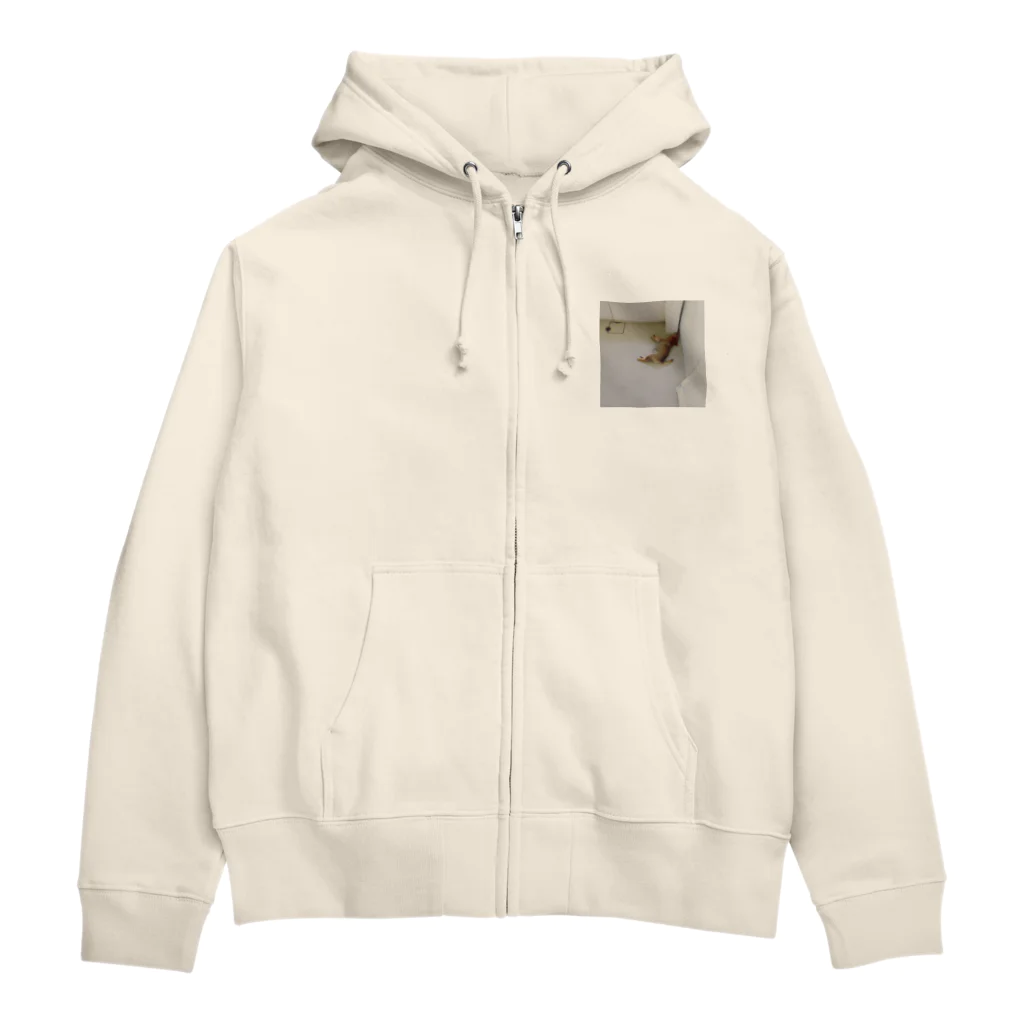 こはるちゃん(柴犬の女の子、2020年6月生まれ)のこはるちゃん9？ Zip Hoodie