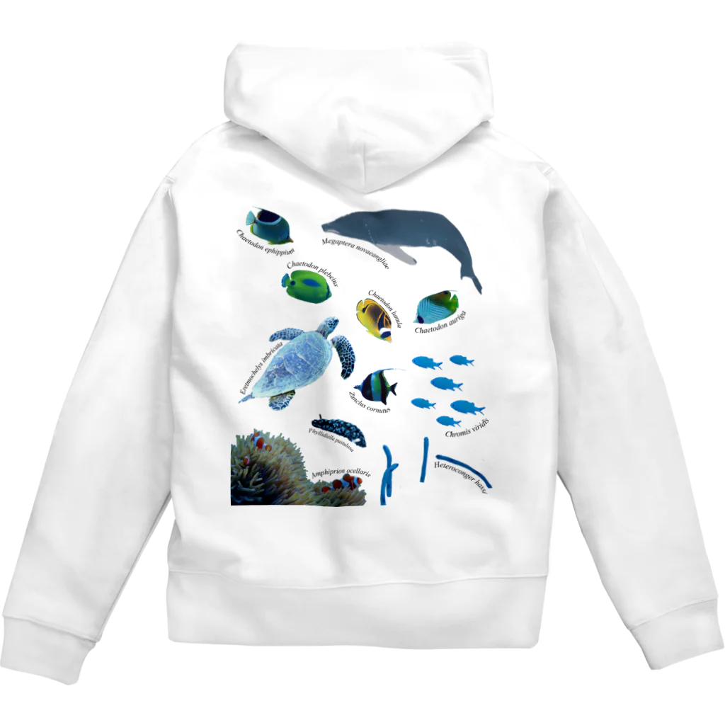 L_arctoaの沖縄の海の生き物 Zip Hoodie