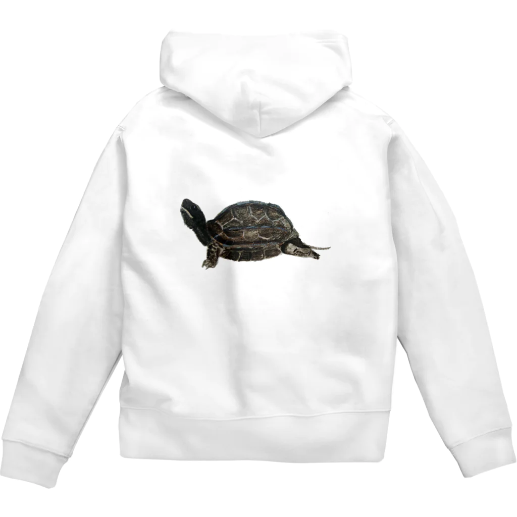 動物ガラス絵描きをしてる人のお店のクサガメ Zip Hoodie