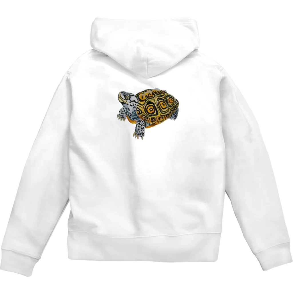 動物ガラス絵描きをしてる人のお店のカロリナダイヤモンドバックテラピン Zip Hoodie