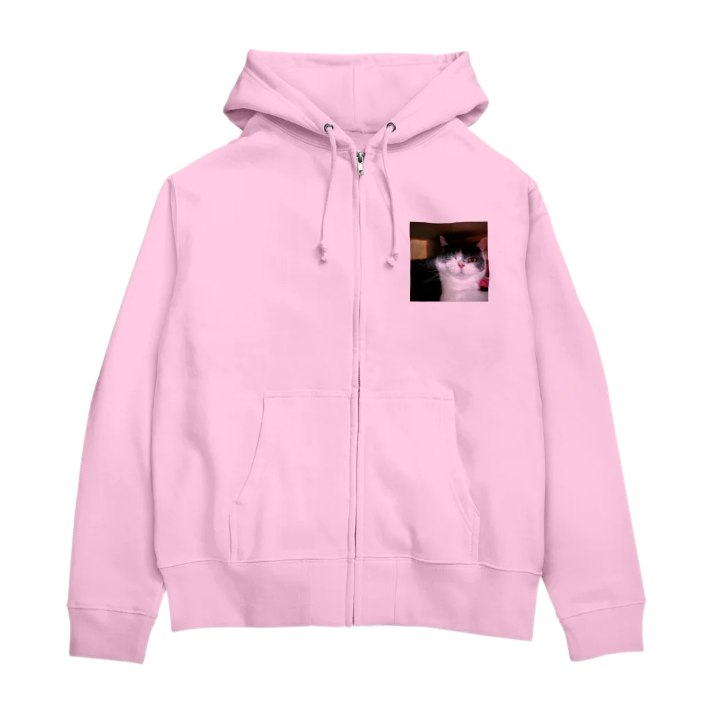 飯塚 iizukaのアニマル5 Zip Hoodie