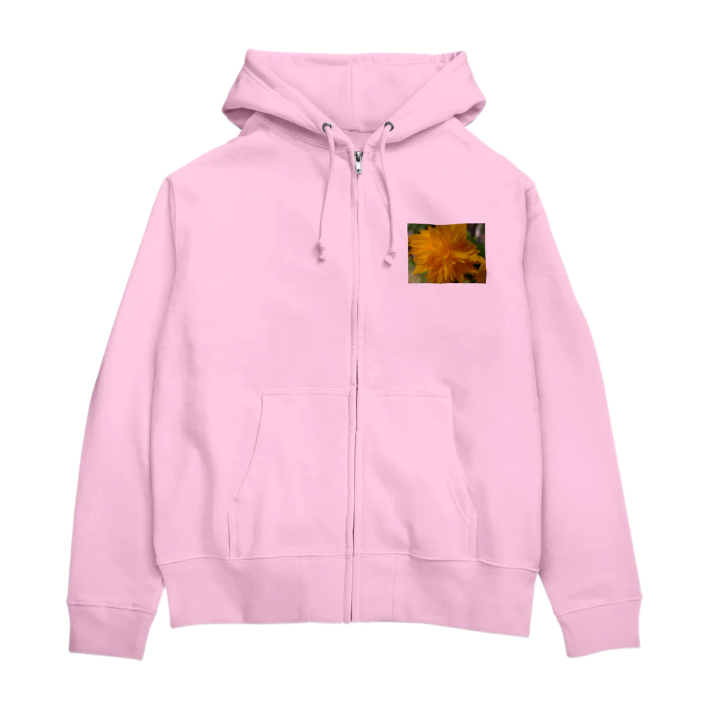 Dreamscape(LUNA)の輝きを求めて・・・ Zip Hoodie