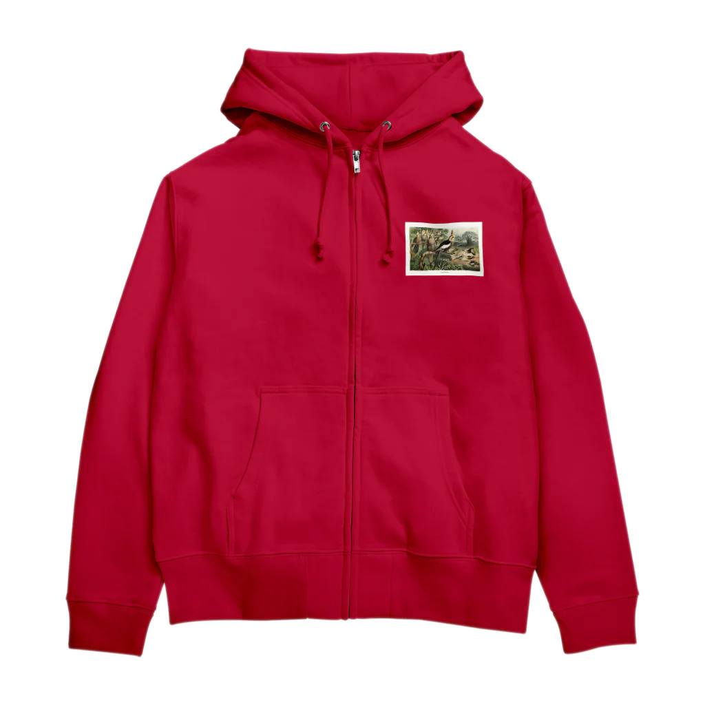 J. Jeffery Print Galleryのオカメインコ Zip Hoodie