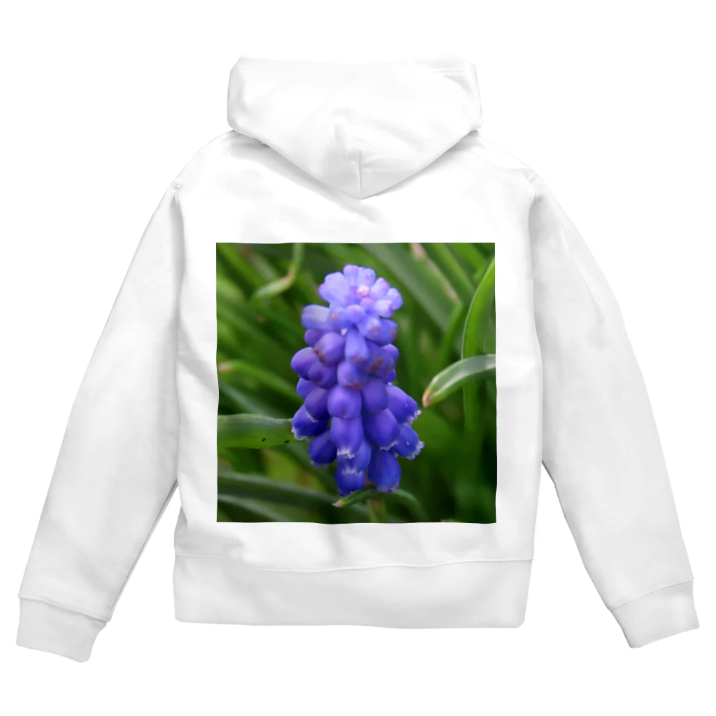 でおきしりぼ子の実験室のMuscari botryoides(1:1) Zip Hoodie