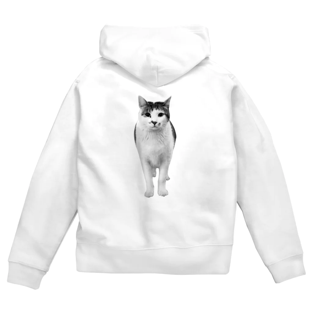 photo-kiokuの猫のトラミ兄ちゃん Zip Hoodie