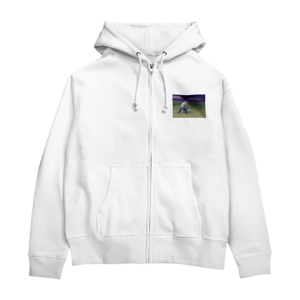 Robin_Hiroshimaのリスボンの公園に居た鯉 Zip Hoodie