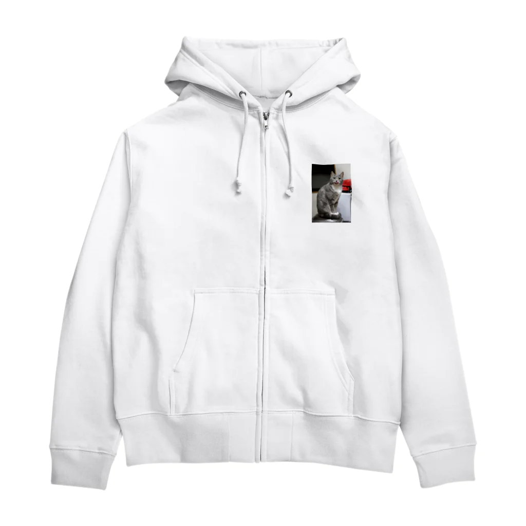 Aiko Nakanoの炊飯器は暖かいね Zip Hoodie