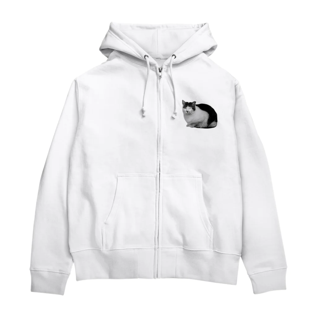 photo-kiokuの猫のトラミ兄ちゃん Zip Hoodie