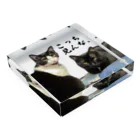 自由の猫　ねこ　neko Acrylic Block :placed flat