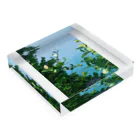 piroronの海と緑 Acrylic Block :placed flat