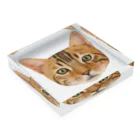 utouch_の猫【顔】 Acrylic Block :placed flat