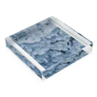 sinの部屋のhydrangea Acrylic Block :placed flat