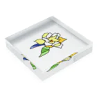 フルツの6/30 誕生花「クチナシ」 Acrylic Block :placed flat