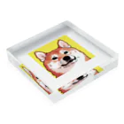 Shibainuteikokuのコミック柴犬2 アクリルブロックの平置き