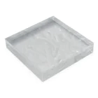 SALのwhite paint Acrylic Block :placed flat