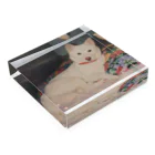 ♪mamashiro♪のリョク君 Acrylic Block :placed flat