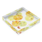 イラストレーター おおでゆかこのCitrus Acrylic Block :placed flat