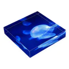 Renaのクラゲ　Jellyfish Acrylic Block :placed flat
