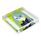 ｼｵﾝのデンノーガイ Acrylic Block :placed flat