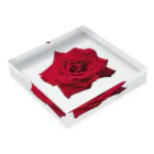 motchamの花の写真 薔薇 Acrylic Block :placed flat