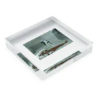 タコの１０８０ Acrylic Block :placed flat