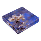 M.F.Photoの桜 Acrylic Block :placed flat