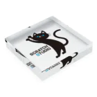 【公式】SCRATCH STUDIO -GOODS SHOP-のSCRATCH STUDIO アクリルブロック（No.1） Acrylic Block :placed flat