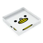 PITTEN PRODUCTSのFace Series 101N Acrylic Block :placed flat