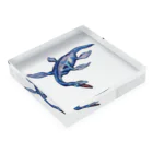 Ooazamukae stationeryのElasmo Saurus Acrylic Block :placed flat