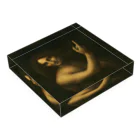 SONOTENI-ARTの018-003　レオナルド・ダ・ヴィンチ　『洗礼者ヨハネ』　アクリルブロック アクリルブロックの平置き