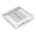 rilybiiの🍑 peach milk tea × peach tulip . Acrylic Block :placed flat