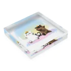 ねこほうチャンネル公式グッズのチロモモ5歳バースデイ Acrylic Block :placed flat