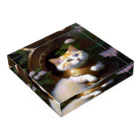 CAT_LINE_STOREの天界に住まうイタズラ猫 Acrylic Block :placed flat