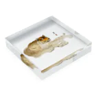 MUGEN ARTの小原古邨　虎　Ohara Koson / Tiger Acrylic Block :placed flat