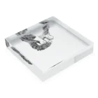 HIDDEN MOON-ARIAKEの16 Acrylic Block :placed flat