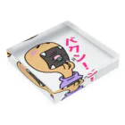 DAL-2の『バクン！』するコブちゃん♪ アクリルブロックの平置き