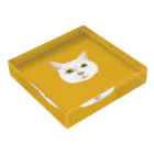 nuuko_artのねこのサニーさん アクリルブロックの平置き