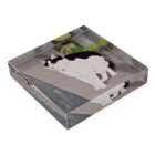 猪猫の麦秋至る　路地のハチワレ猫 Acrylic Block :placed flat