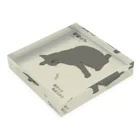 猪猫の蟷螂生ず　猫パンチしたい灰色猫 Acrylic Block :placed flat