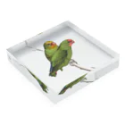 ArtisticLegacyのtori green Acrylic Block :placed flat