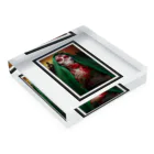 R&N Photographyのカトリーナとバラ花｜死者の日・日本のカトリーナ Acrylic Block :placed flat