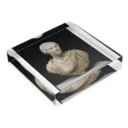 Art Institute ChicagoのPortrait Bust of a Woman, Mid–2nd century AD | Ancient Roman Acrylic Block :placed flat