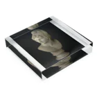 Art Institute ChicagoのBust of Paris, 1809 | Antonio Canova Acrylic Block :placed flat