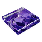 一粒万倍 日輪🌞🎌VTuber準備中のアクリルブロック Acrylic Block :placed flat