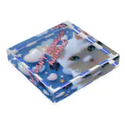 多賀家猫六商店（旧　猫の事務所）のDon't abandon animals Acrylic Block :placed flat