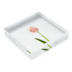 Resembles a floristのtrp.p Acrylic Block :placed flat