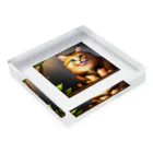 ラッキーマインあべむつきのかわいい猫のイラストグッズ Acrylic Block :placed flat