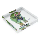 segasworksのTriceratops Acrylic Block :placed flat